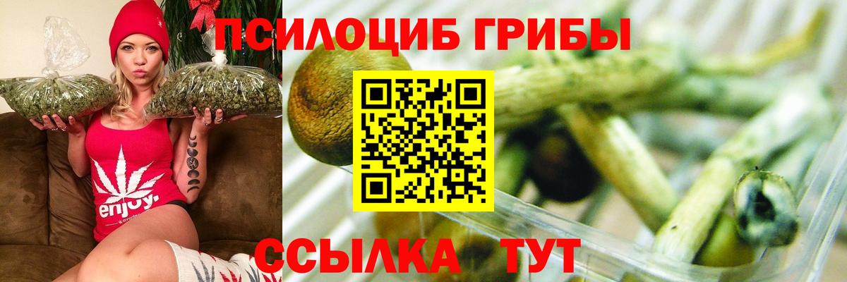 Кимовск  Галлюциногенные грибы GOLDEN TEACHER  Вход с VPN 